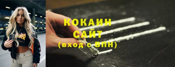 шишки Няндома