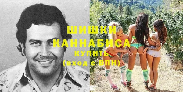 ECSTASY Вяземский