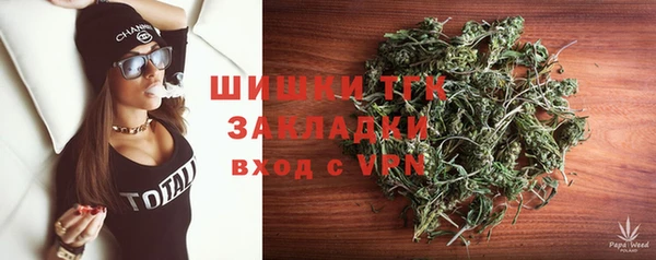 молекула духа Нязепетровск