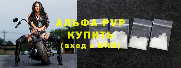 ECSTASY Вяземский
