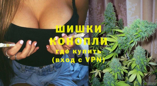 ECSTASY Вяземский