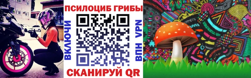 МЕГА ссылка  Ишимбай  Галлюциногенные грибы Psilocybine cubensis 
